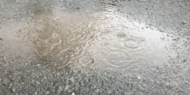 Rain in the Forecast for Parts of Island