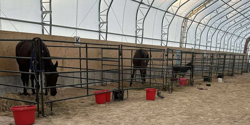 Seal Cove Ranch Owner Returns the Favour by Taking in Evacuated Animals