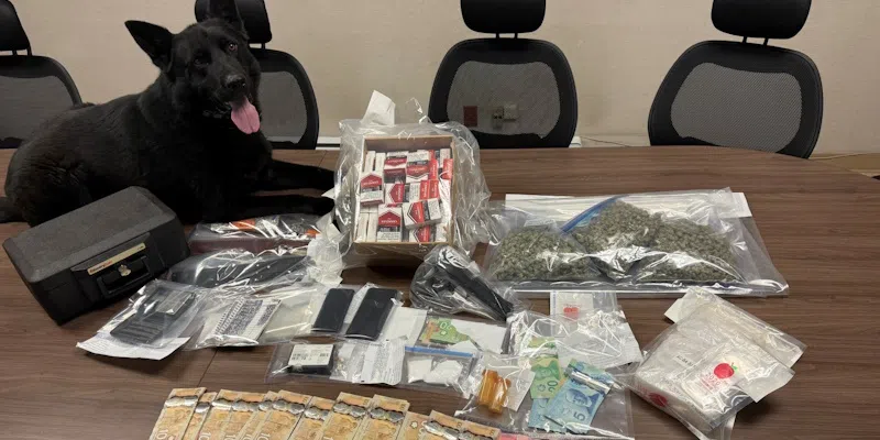 RCMP Seize Cocaine, Contraband Tobacco in Central NL Raid