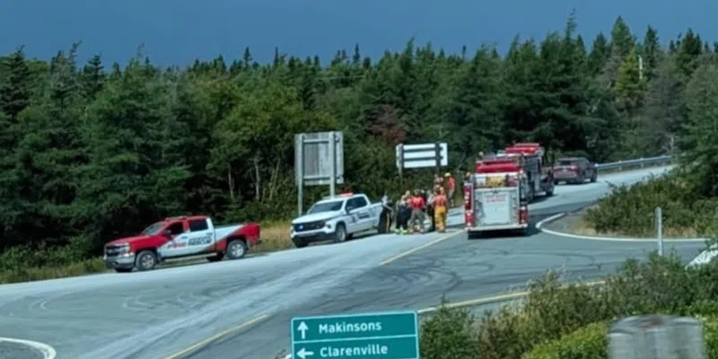 Officials Believe Whitbourne Brush Fire Caused by Cigarette Flicked from Vehicle