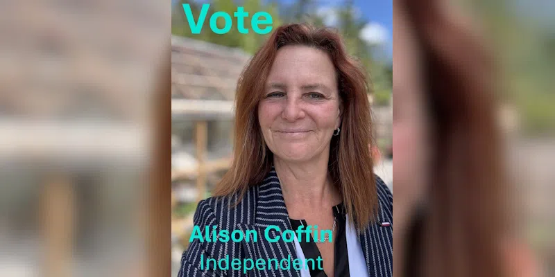 Former NDP Leader Challenging Electoral Reform, Running Independently in Two Different Districts