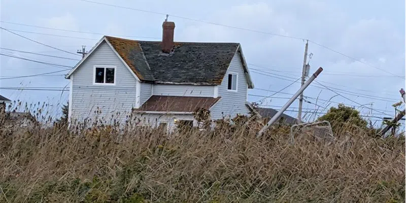 One Person in Custody After Extensive Police Operation on Bell Island