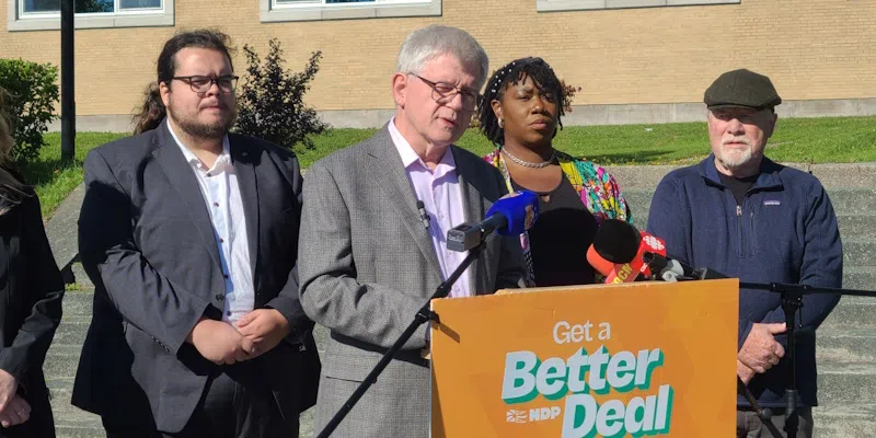 NDP Proposes to Extend 'Cooling Off' Period for Former MHAs, Premiers Seeking Consulting Positions Post-Politics