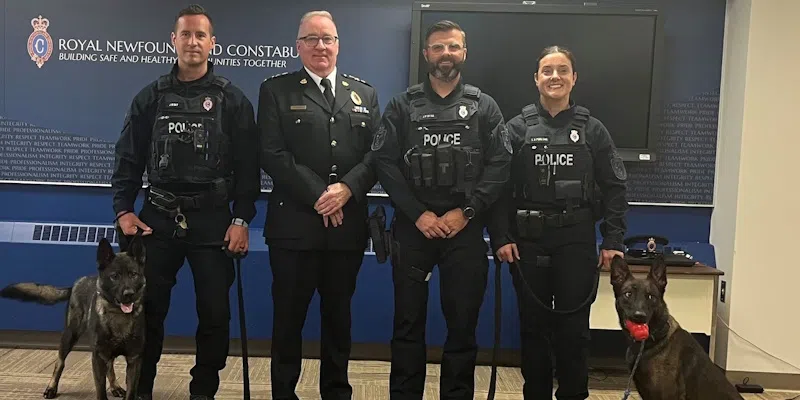 'Who's a Good Boy?' RNC Introduces Two New Recruits