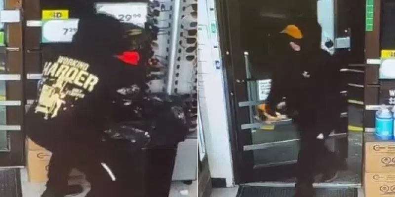 Police Investigate Break-in at Needs Convenience in South Dildo