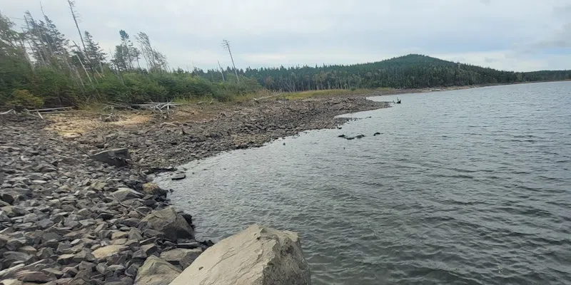 Torbay to Pump Water into North Pond Following Summer Drought