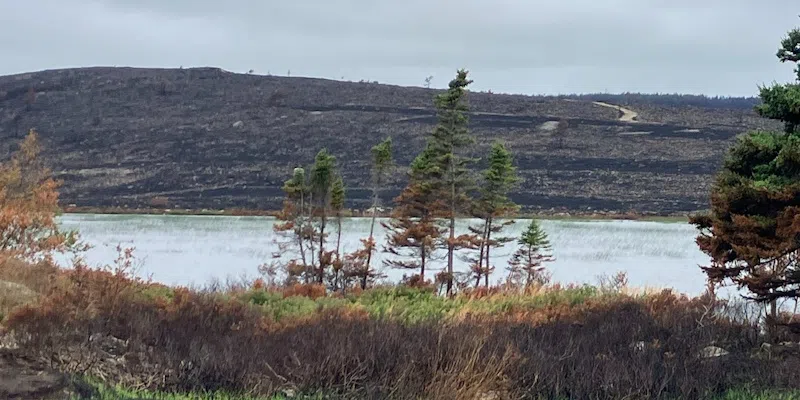 Frustration Mounts as Wildfire Investigation Yields No Arrests