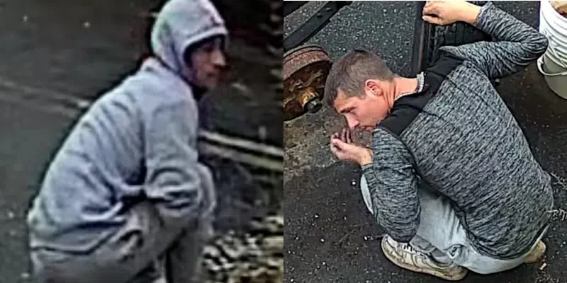 RCMP Hoping to Identify Two Men Caught on Camera in New Harbour