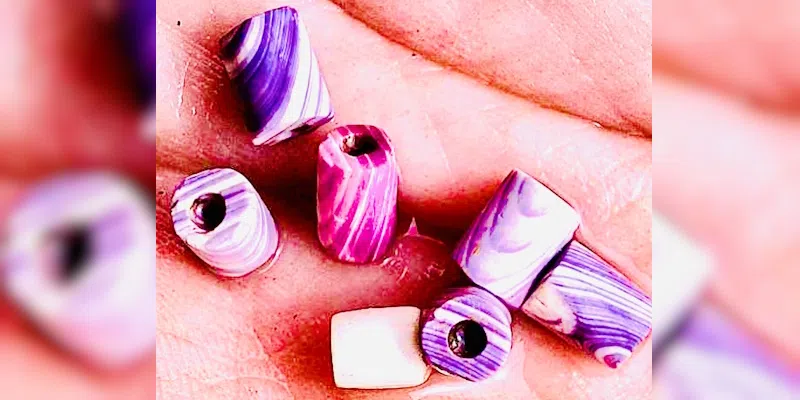 Wampum Beads Among Finds Unearthed During 2025 Colony of Avalon Field Season