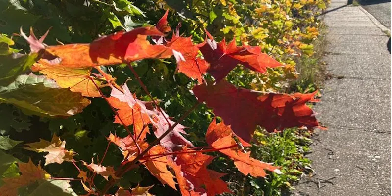 Wellness Expert Encouraging NLers to Embrace Cold Weather