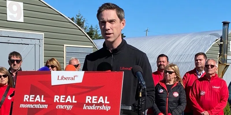 Food Security Part of Liberal Platform Announcement in The Goulds Today