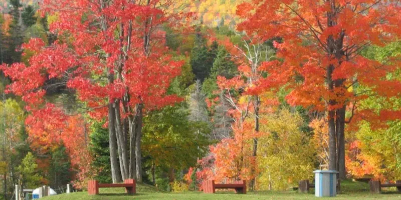 Man Facing Weapons Charges After Another Incident at Margaret Bowater Park