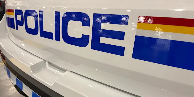 Prohibited Driver Pulled Over in Bay Bulls