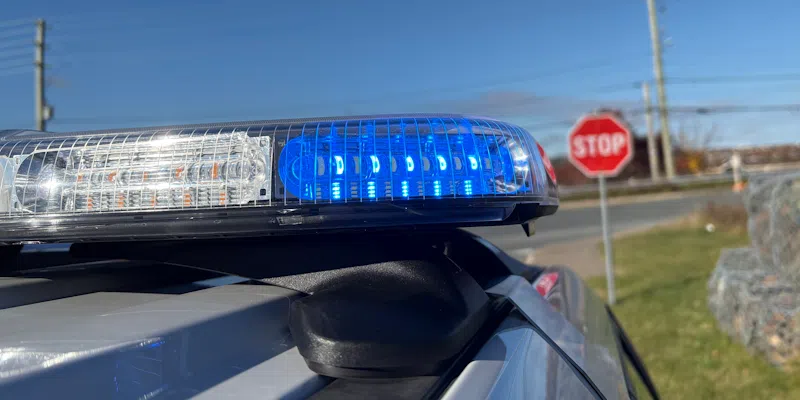 Placentia Man Ticketed After Fleeing RCMP