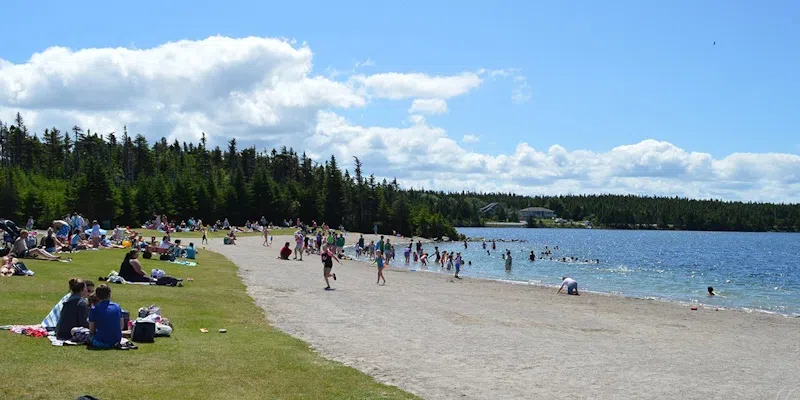 RNC Taking the Plunge Today for Special Olympics
