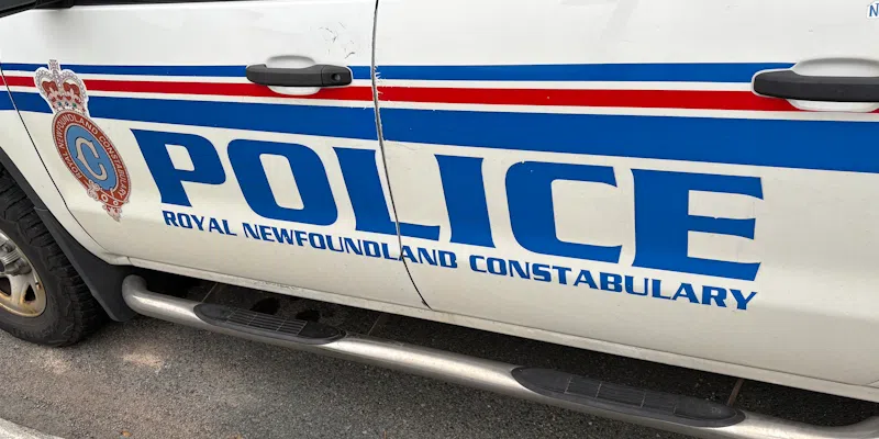 Mount Pearl Man With Seven Warrants Resists Arrest Outside Local Bar