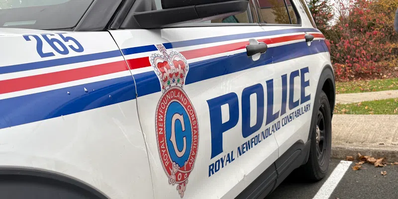 Man Arrested Following Theft from St. John’s Business