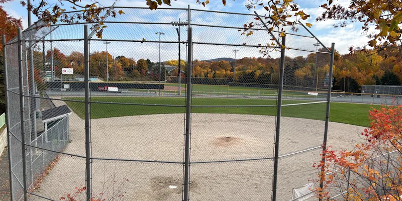 Baseball NL Anticipates Increased Registration Next Year Thanks to Baseball Fever