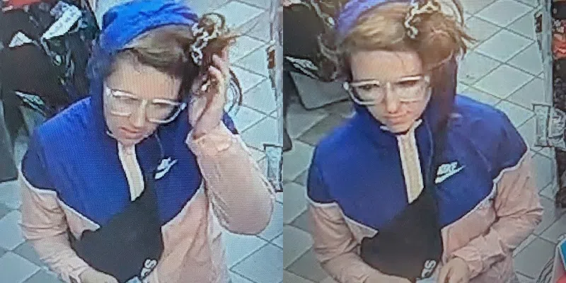 Police in Bay Roberts Hoping to Identify Driver