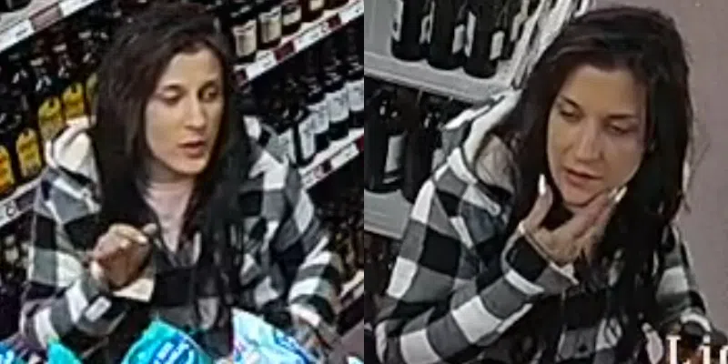 Ferryland RCMP Seeking Help in Identifying Person on Surveillance Camera