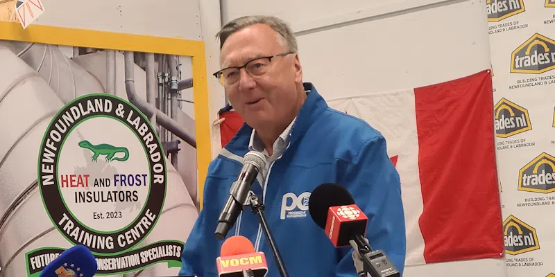 PCs say Building Ferries Locally is Worth the Cost