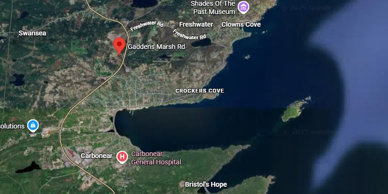 Carbonear Home Broken Into and Ransacked, Police Investigating