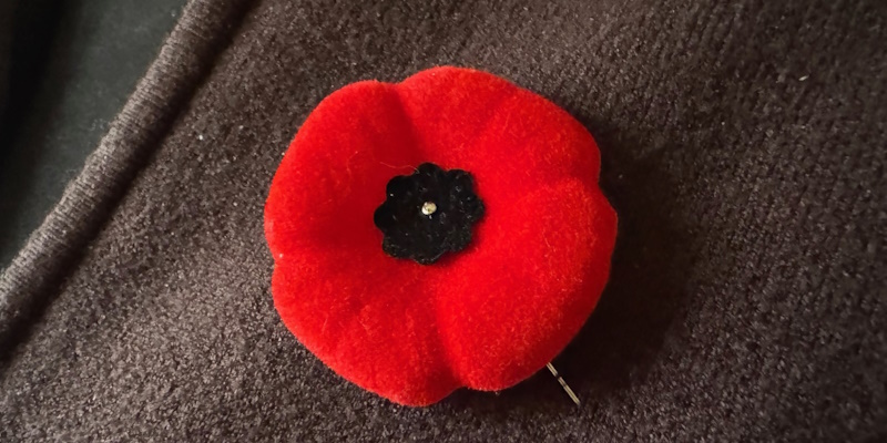 Annual Poppy Campaign Underway
