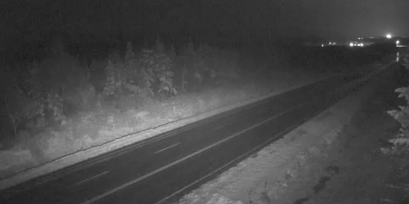 Snowfall Warning Issued for Western, Central NL