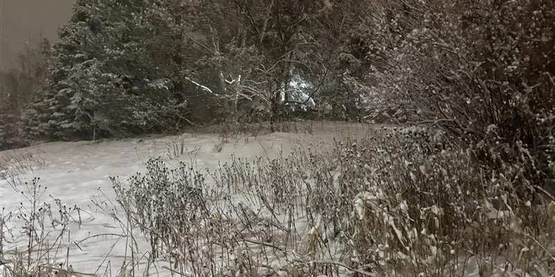 This Week's Snow Making Way for Rain by Thursday