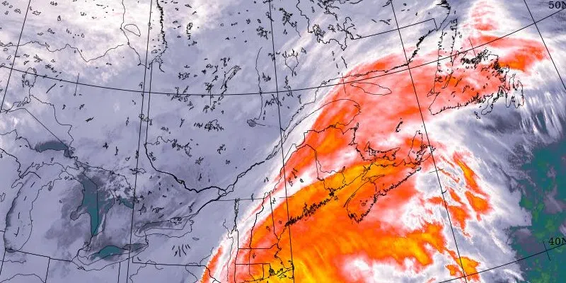 Snowfall and Wind Warnings in Effect for Most of Newfoundland as First Blizzard of the Season Expected Overnight and Tomorrow