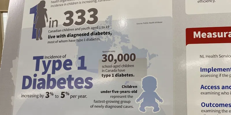 NLHS Highlights Achievements and Advancements Through Poster Showcase