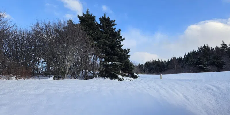 Strong Winds, Cold Temperatures Expected to Stick Around Heading into Weekend