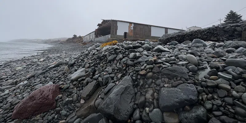 MP Seeks Federal Funds in Ottawa for Urgent Fish Plant Cleanup