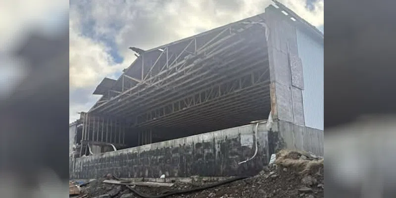 Liberal MHA Urges Government to Act on St . Mary Fish Sauce Plant