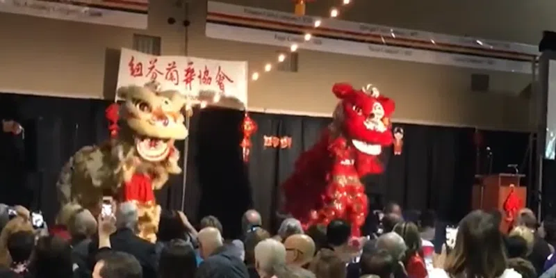 Year of the Fire Horse: Chinese New Year Celebrated Tomorrow