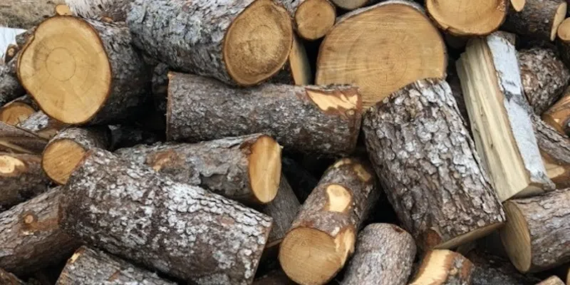 34-year-old Charged with Stealing Firewood