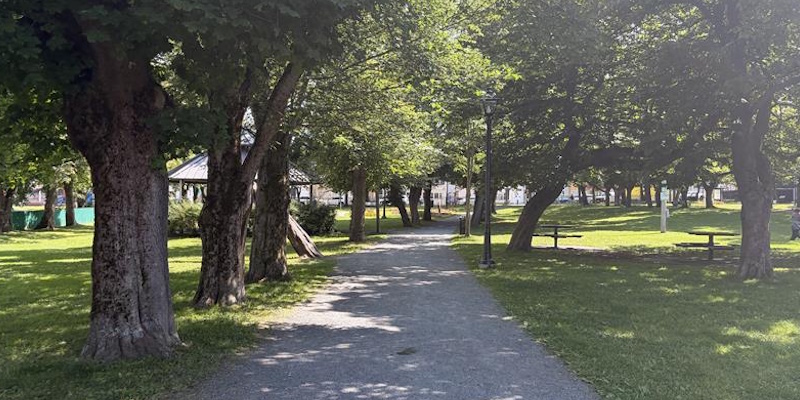 Bannerman Park Unveiling 'Peace Pole' This Afternoon