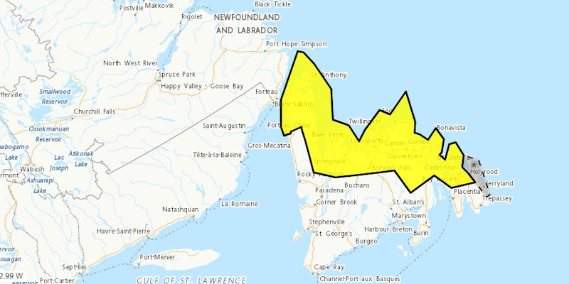 Wind Warnings Issued as Fall Storm Takes Aim at Parts of Newfoundland
