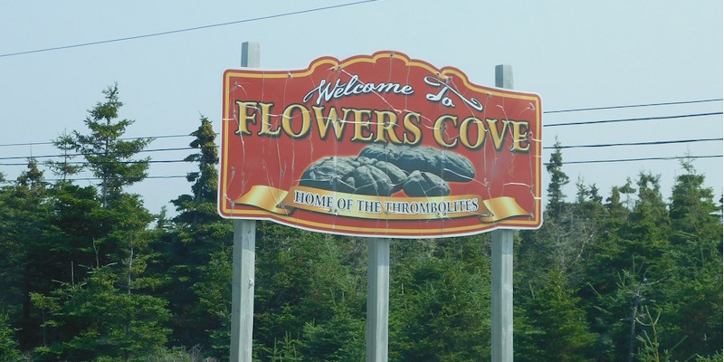 Flower's Cove Protesting Downgrade of RCMP in Region