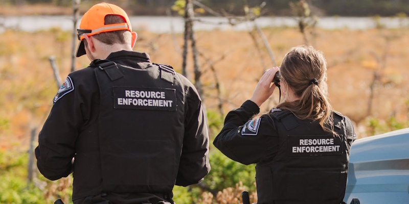 Wildlife Officers Investigating Moose Poaching Incident in Western Newfoundland