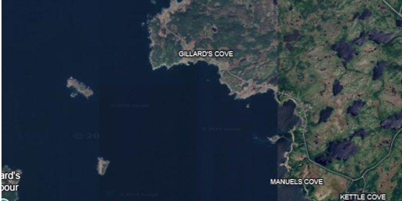 Update: One Person in Custody Following Police Operation in Bayview, Twillingate