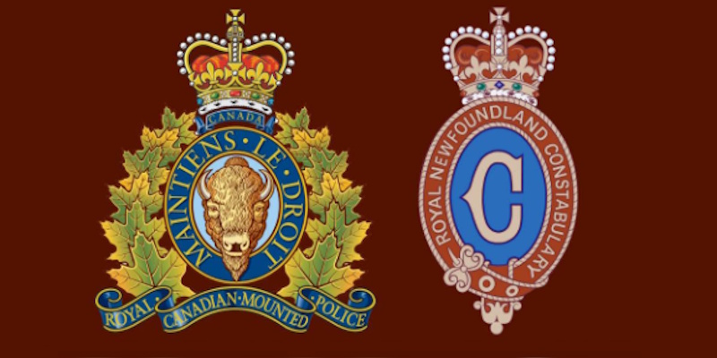 Gander Bay Resident Facing Online Child Exploitation Charges