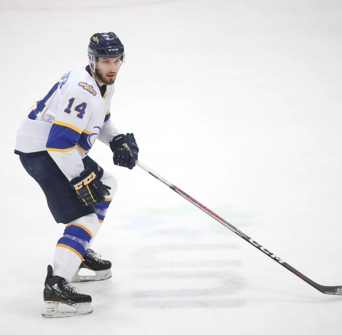 Aigles Bleus in Nova Scotia for two games