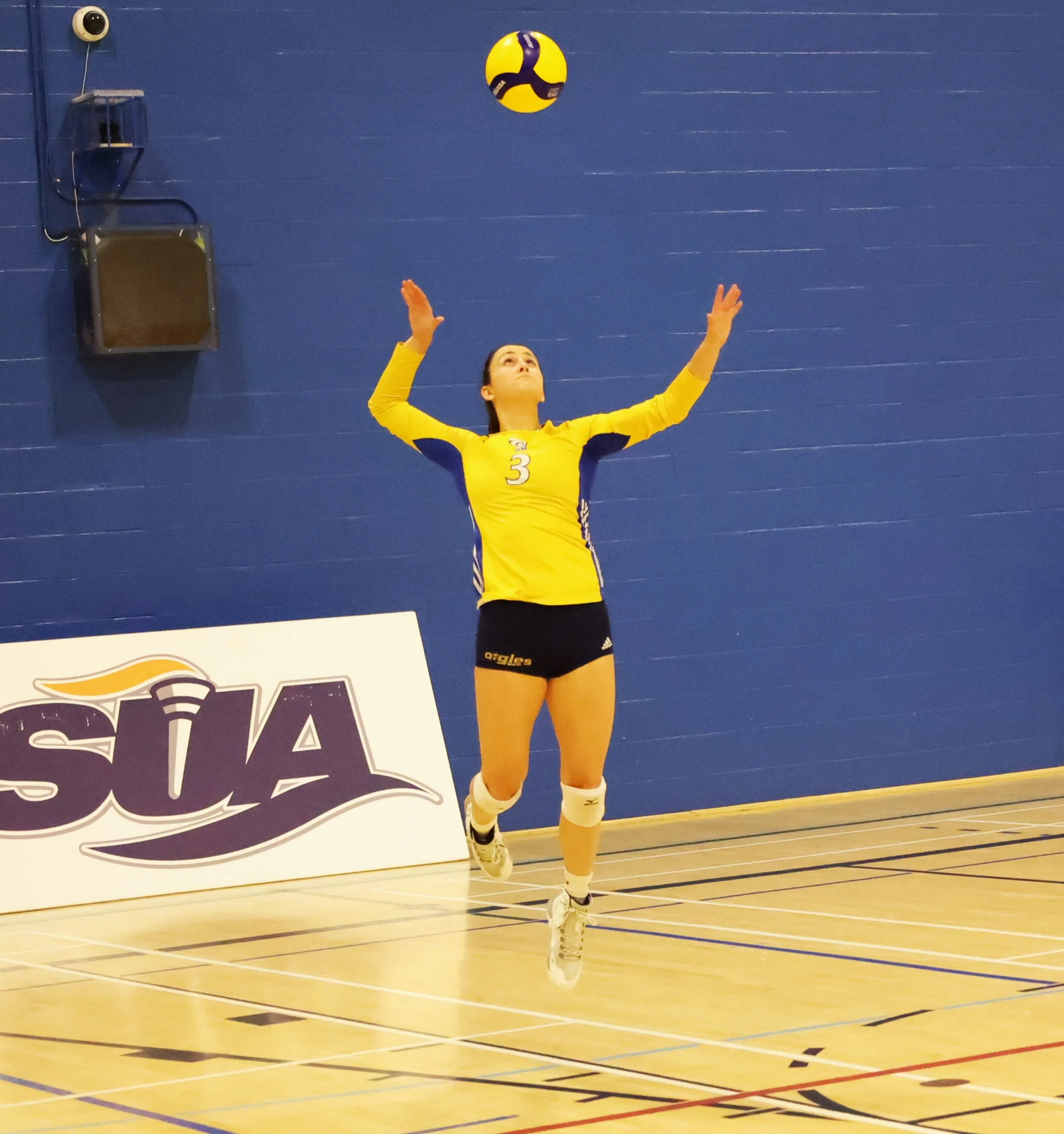 Volleyball: UNB Reds win 3-1