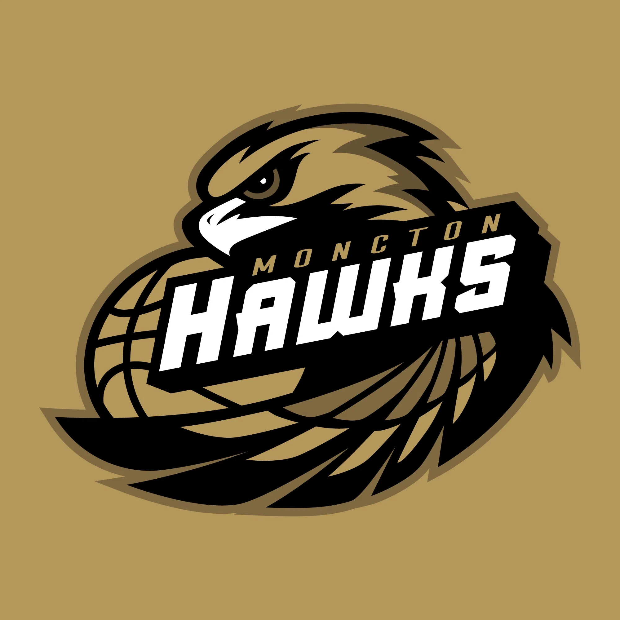 Moncton Basketball Association - Update