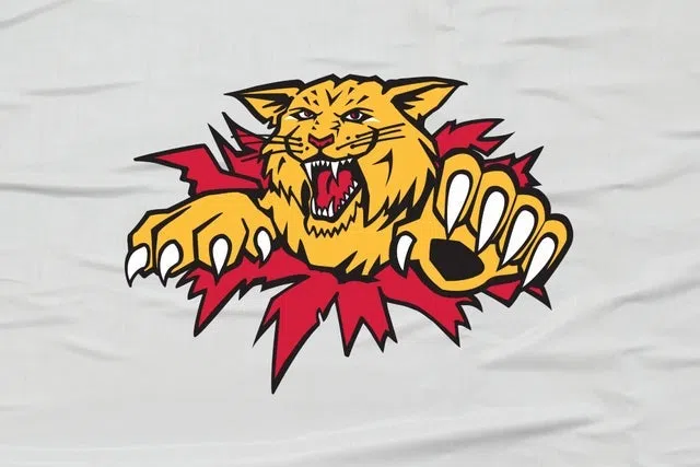 Moncton Wildcats Acquire MacKinnon and Vidicek from Halifax