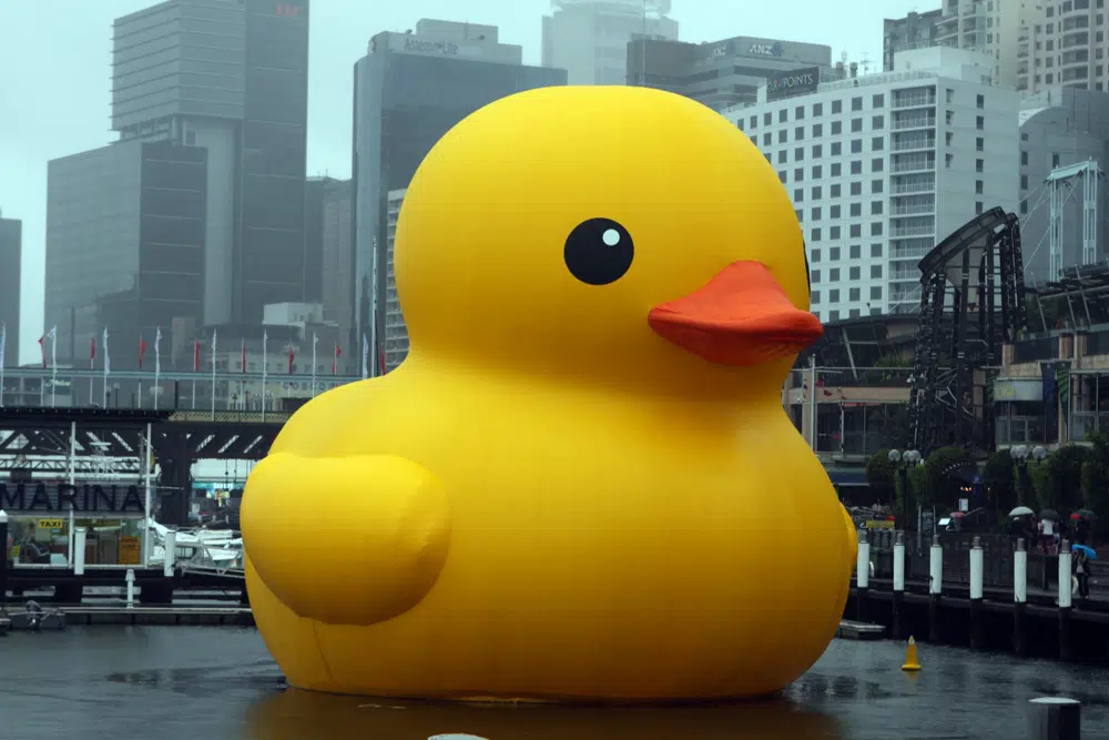 Reply All Problems, Great Barrier Reef, Giant Rubber Duck