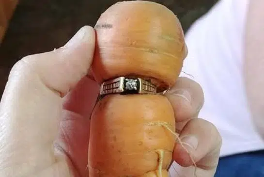 Political Whirlpool, Ring Carrot, M