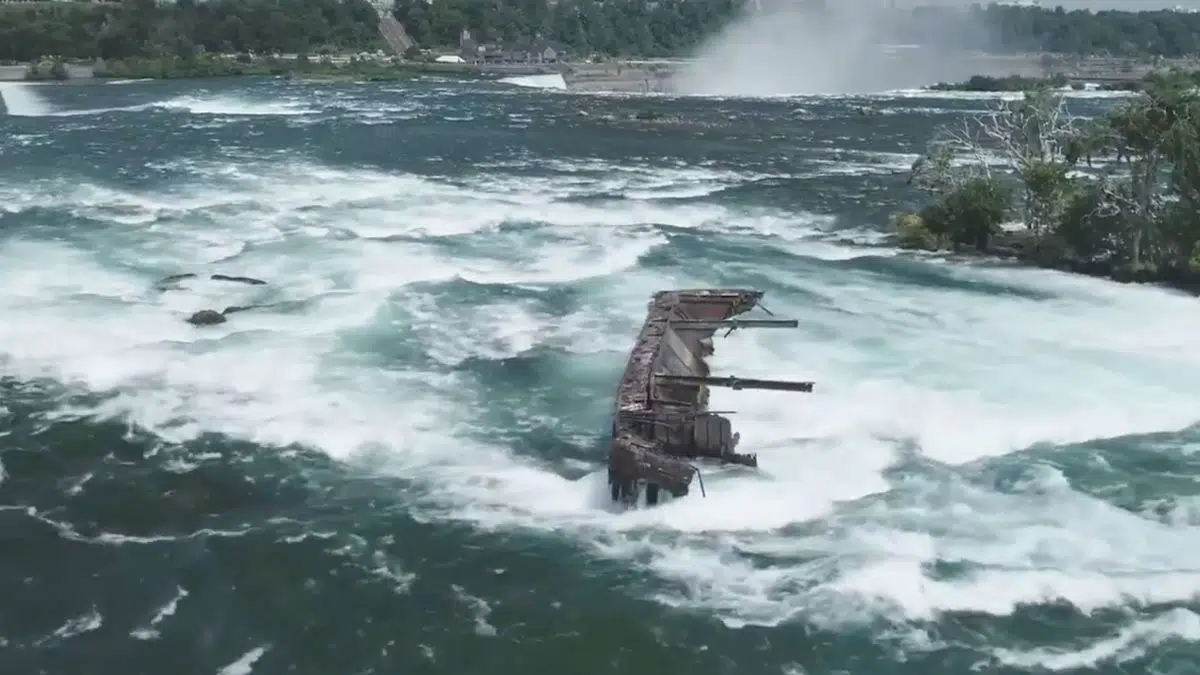 Roku Premiere Review, Horseshoe Falls Barge, Swingers Club Evacuated