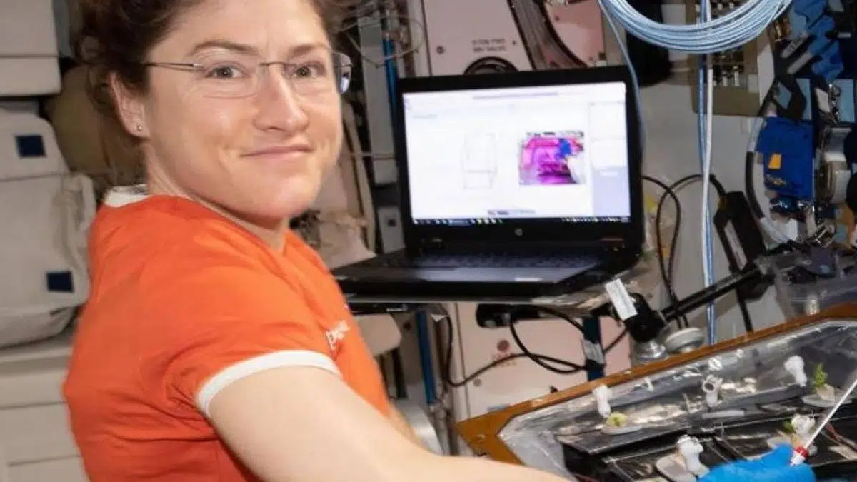 Impossible Burger Boobs, Bill Gates Secret Santa, US Space Record